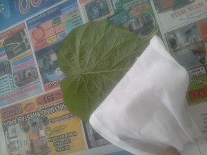 Siapkan tissue basah untuk membersihkan tiap daun dari debu dan kuman