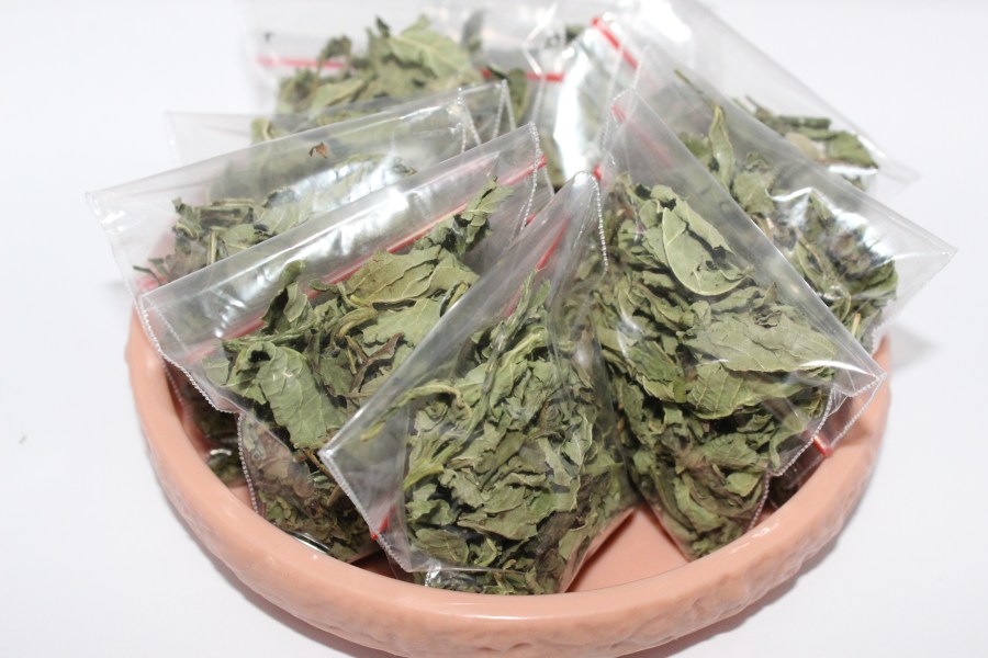 daun-pecut-kuda-kemasan